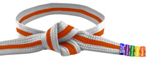 A Tiny Tiger Orange Belt with colored stripes on it