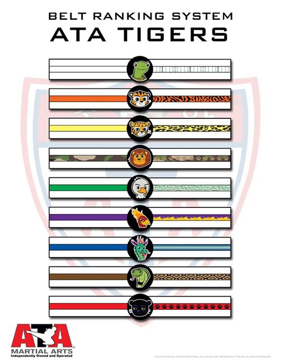 ata belt ranks